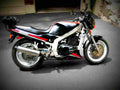 Suzuki GS 500 1998 1 motorbike A4 Photo Print