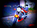 Suzuki GS 500 1998 4 motorbike A4 Photo Print