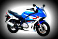 Suzuki GS 500 2009 5 motorbike A4 Photo Print