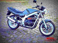 Suzuki GS 500 E 1991 6 motorbike A4 Photo Print