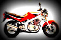Suzuki GS 500 E 1994 4 motorbike A4 Photo Print