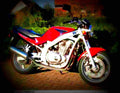 Suzuki GS 500 E 1999 1 motorbike A4 Photo Print