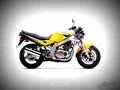 Suzuki GS 500 E 1999 2 motorbike A4 Photo Print