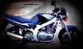 Suzuki GS 500 E 1999 3 motorbike A4 Photo Print