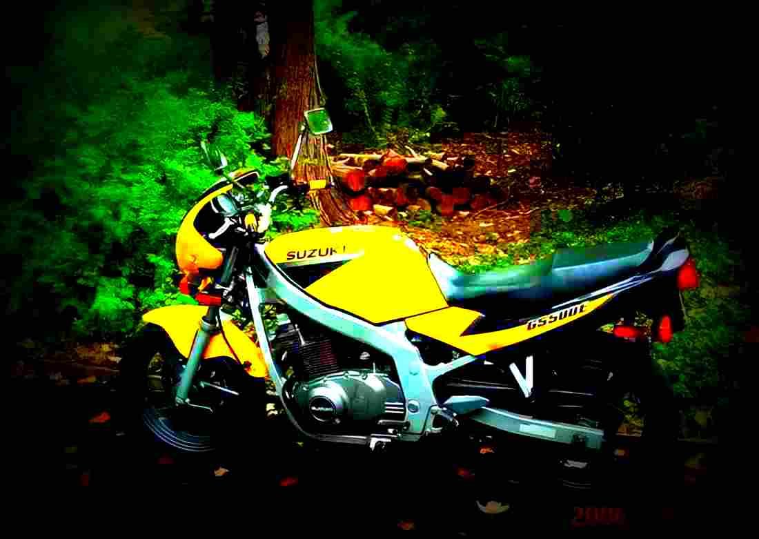 Suzuki GS 500 E 1999 6 motorbike A4 Photo Print