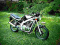 Suzuki GS 500 E 2000 1 motorbike A4 Photo Print