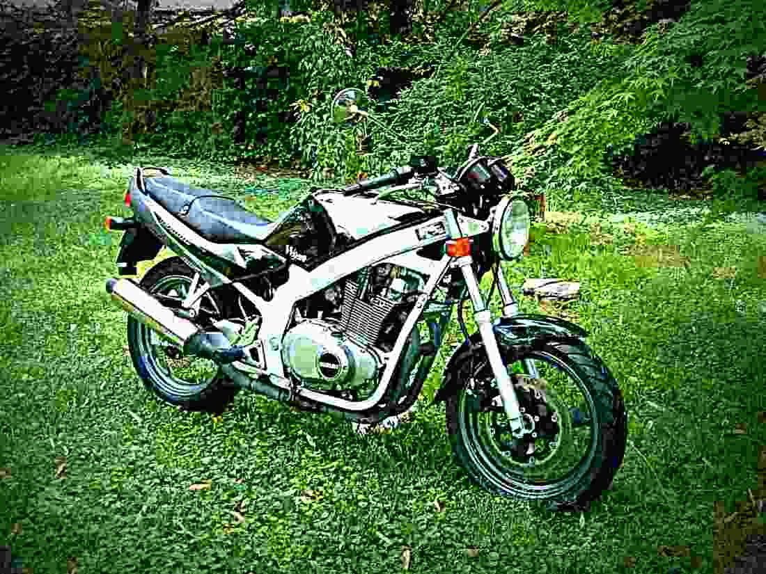 Suzuki GS 500 E 2000 1 motorbike A4 Photo Print