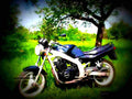 Suzuki GS 500 E 2000 3 motorbike A4 Photo Print