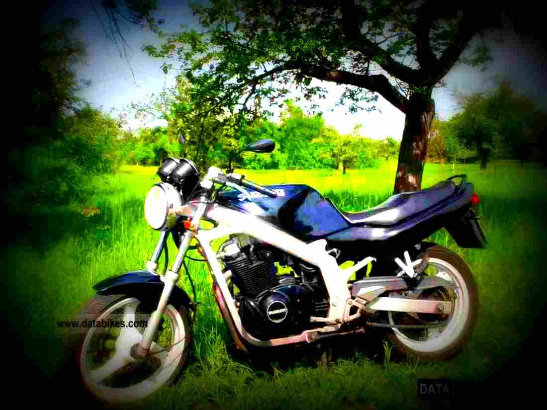 Suzuki GS 500 E 2000 3 motorbike A4 Photo Print
