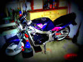 Suzuki GS 500 E (reduced effect) 1981 1 motorbike A4 Photo Print