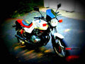 Suzuki GS 500 E (reduced effect) 1981 3 motorbike A4 Photo Print