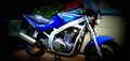 Suzuki GS 500 E (reduced effect) 1989 1 600x284 motorbike A4 Photo Print