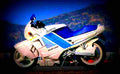 Suzuki GS 500 E (reduced effect) 1990 4 motorbike A4 Photo Print