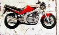 Suzuki GS500E 1994 Aged Vintage A4 Photo Print