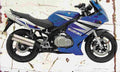 Suzuki GS500F 2004 Aged Vintage A4 Photo Print