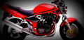 Suzuki GSF 1200 Bandit 2001 1 600x284 motorbike A4 Photo Print