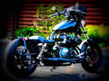 Suzuki GSF 1200 Bandit 2002 3 motorbike A4 Photo Print