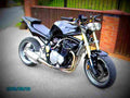Suzuki GSF 1200 N Bandit 1996 3 motorbike A4 Photo Print