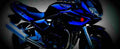 Suzuki GSF 1200 S Bandit 2002 1 700x284 motorbike A4 Photo Print