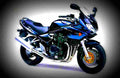 Suzuki GSF 1200 S Bandit 2003 2 motorbike A4 Photo Print