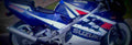 Suzuki GSF 250 1993 1 825x284 motorbike A4 Photo Print