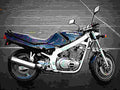 Suzuki GSF 250 1993 5 motorbike A4 Photo Print