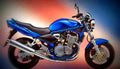 Suzuki GSF 600 Bandit 2001 1 motorbike A4 Photo Print