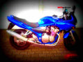 Suzuki GSF 600 Bandit 2001 6 motorbike A4 Photo Print