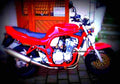 Suzuki GSF 600 N Bandit 1997 1 motorbike A4 Photo Print