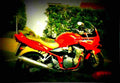 Suzuki GSF 600 S Bandit 1995 2 motorbike A4 Photo Print