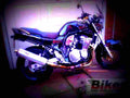Suzuki GSF 600 S Bandit 1996 4 motorbike A4 Photo Print