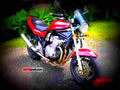 Suzuki GSF 600 S Bandit 1998 3 motorbike A4 Photo Print