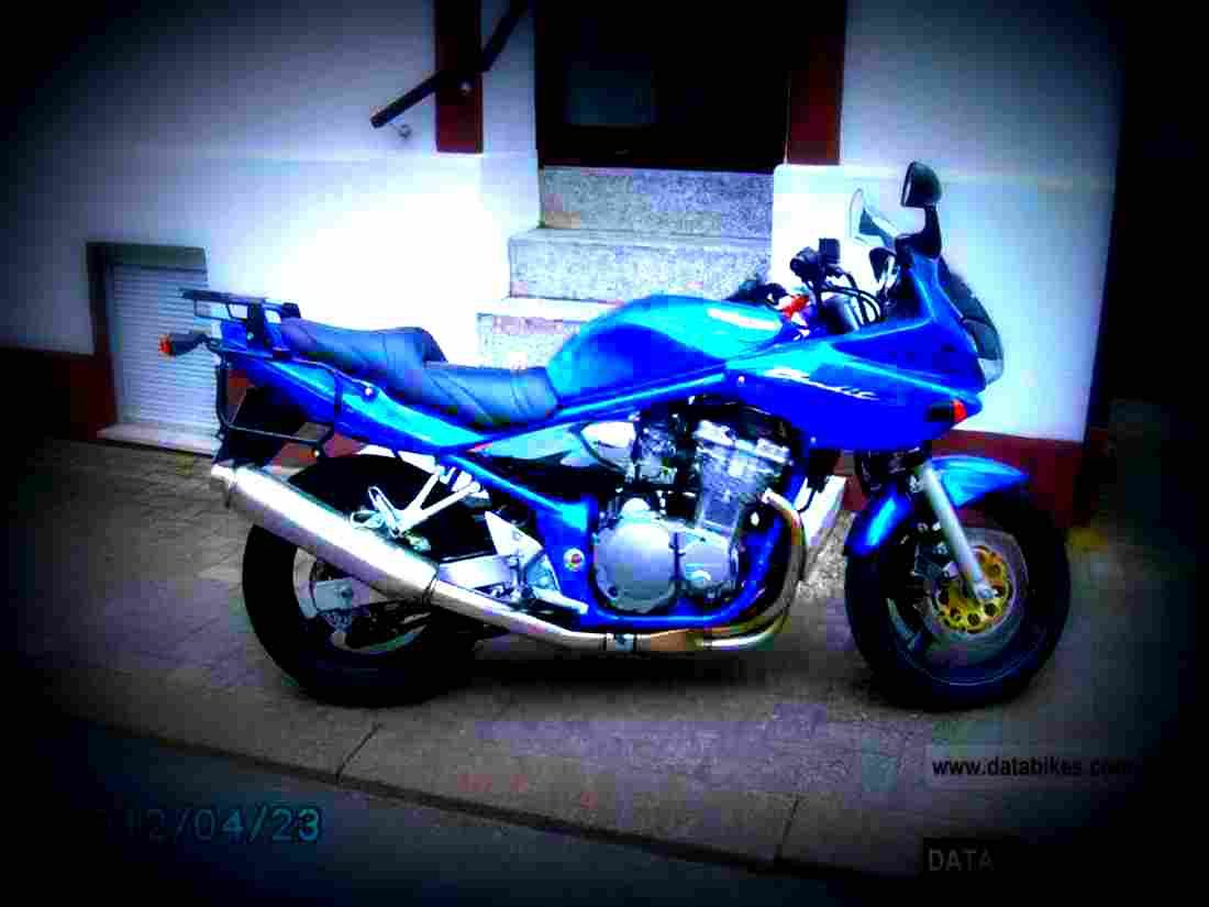 Suzuki GSF 600 S Bandit 2002 2 motorbike A4 Photo Print