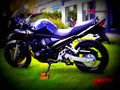 Suzuki GSF 650 Bandit S 6 motorbike A4 Photo Print
