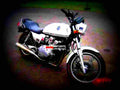 Suzuki GSX 1100 1980 5 motorbike A4 Photo Print