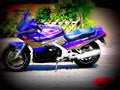Suzuki GSX 1100 F (reduced effect) 1992 2 motorbike A4 Photo Print