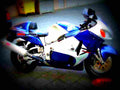 Suzuki GSX 1300 R Hayabusa 2002 6 motorbike A4 Photo Print