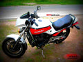 Suzuki GSX 550 ES 1987 4 motorbike A4 Photo Print
