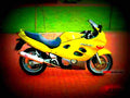 Suzuki GSX 600 F 1998 5 motorbike A4 Photo Print