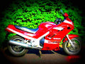 Suzuki GSX 600 F (reduced effect) 1992 5 motorbike A4 Photo Print