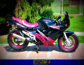 Suzuki GSX 600 FS 1995 6 motorbike A4 Photo Print