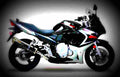 Suzuki GSX 650 F GSX650F (2009) 1 motorbike A4 Photo Print