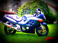Suzuki GSX 750 F 2000 3 motorbike A4 Photo Print