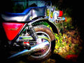 Suzuki GSX 750 L 1980 1 motorbike A4 Photo Print