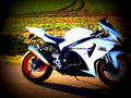 Suzuki GSX R 1000 2009 2 motorbike A4 Photo Print