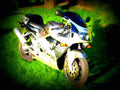 Suzuki GSX R 600 1998 5 motorbike A4 Photo Print