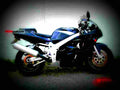 Suzuki GSX R 600 1999 6 motorbike A4 Photo Print