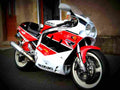 Suzuki GSX R 750 1990 3 motorbike A4 Photo Print