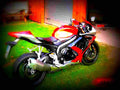 Suzuki GSX R 750 W (reduced effect) 1992 1 motorbike A4 Photo Print