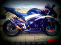 Suzuki GSX R 750 (reduced effect) 1985 5 motorbike A4 Photo Print
